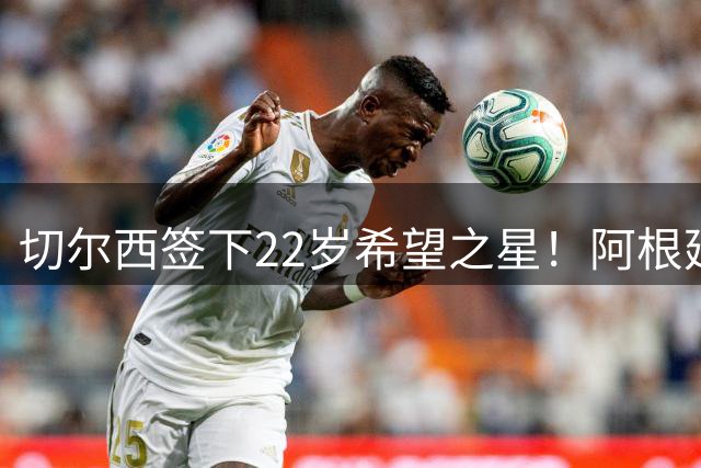 切尔西签下22岁希望之星！阿根廷中场新势力，内部人员调动很划算