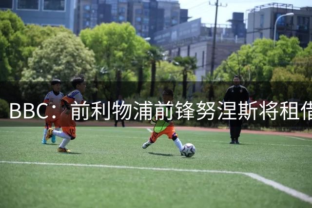 BBC：前利物浦前锋努涅斯将租借加盟沙特球队迪里耶